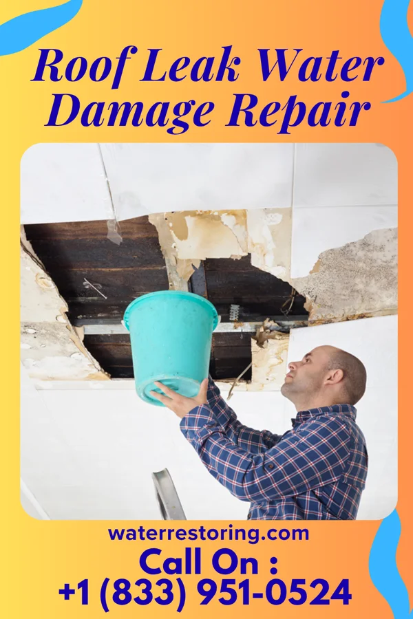Roof Leak Water Damage Repair in Chugcreek, WY